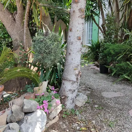 Andibru *